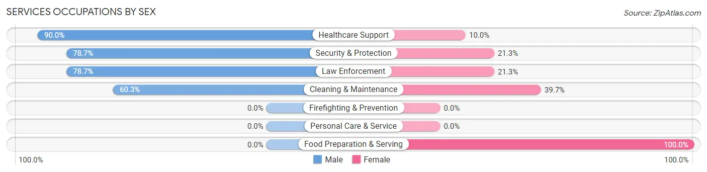 Services Occupations by Sex in Zip Code 37032