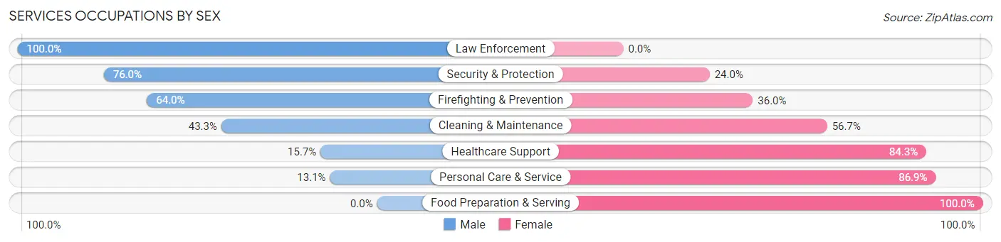 Services Occupations by Sex in Zip Code 37080