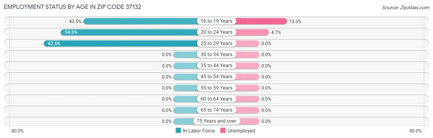 Employment Status by Age in Zip Code 37132