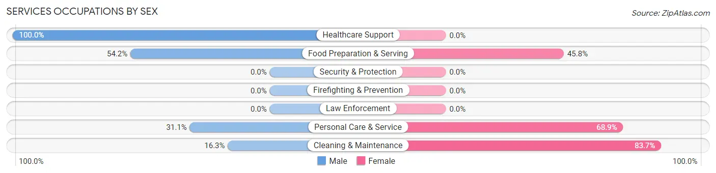 Services Occupations by Sex in Zip Code 37132