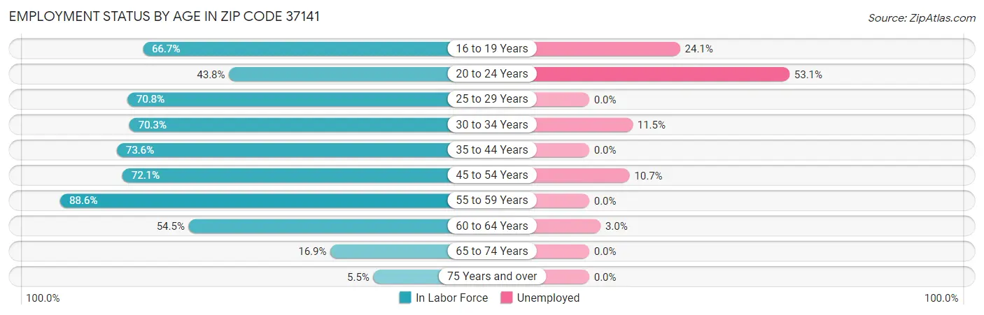 Employment Status by Age in Zip Code 37141