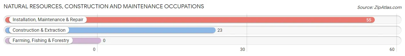 Natural Resources, Construction and Maintenance Occupations in Zip Code 37141