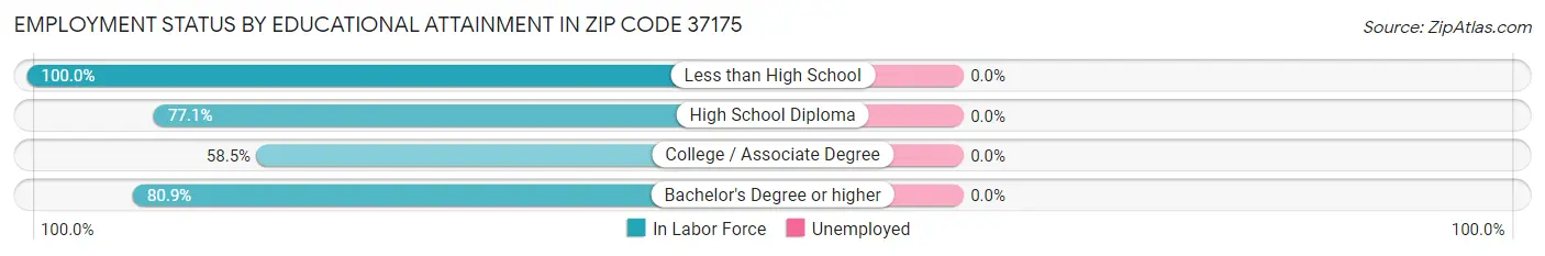 Employment Status by Educational Attainment in Zip Code 37175