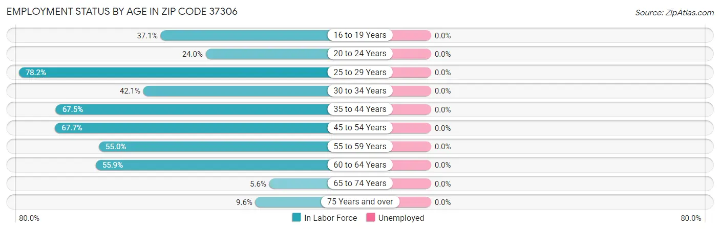 Employment Status by Age in Zip Code 37306