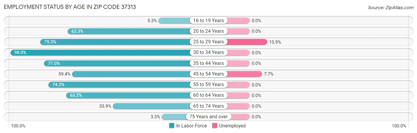 Employment Status by Age in Zip Code 37313