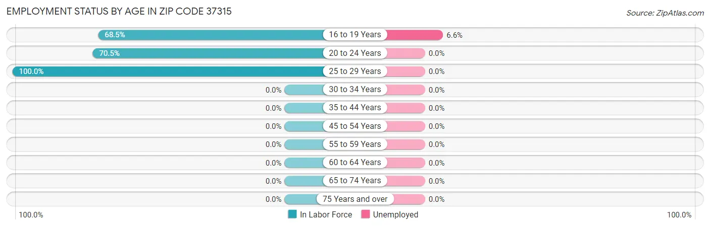 Employment Status by Age in Zip Code 37315