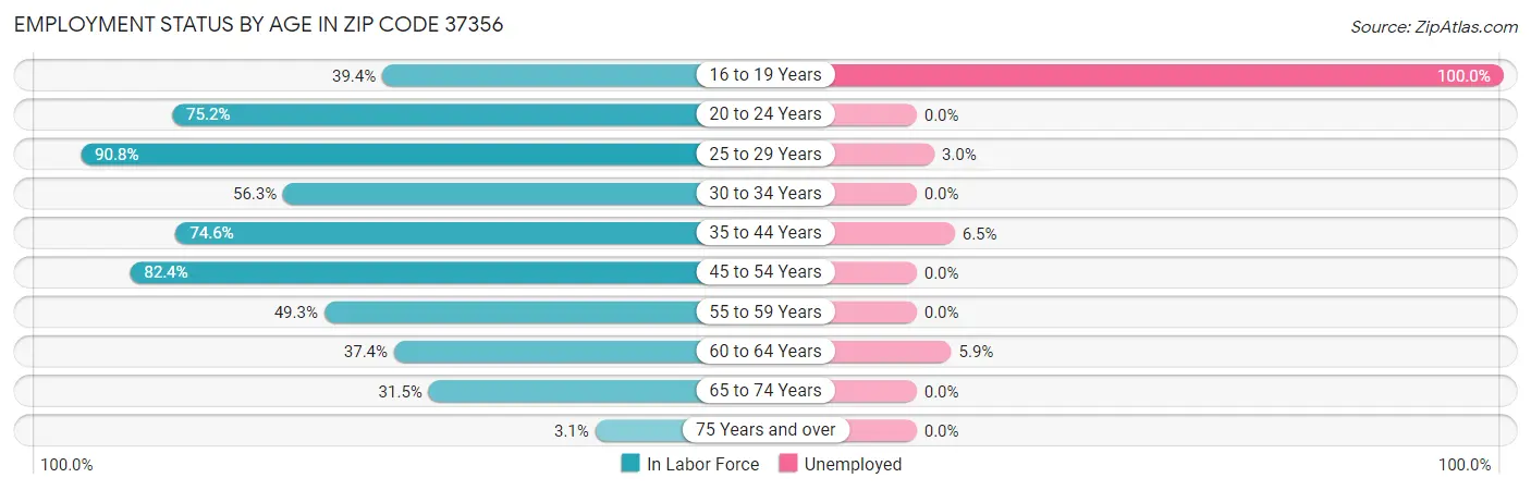 Employment Status by Age in Zip Code 37356