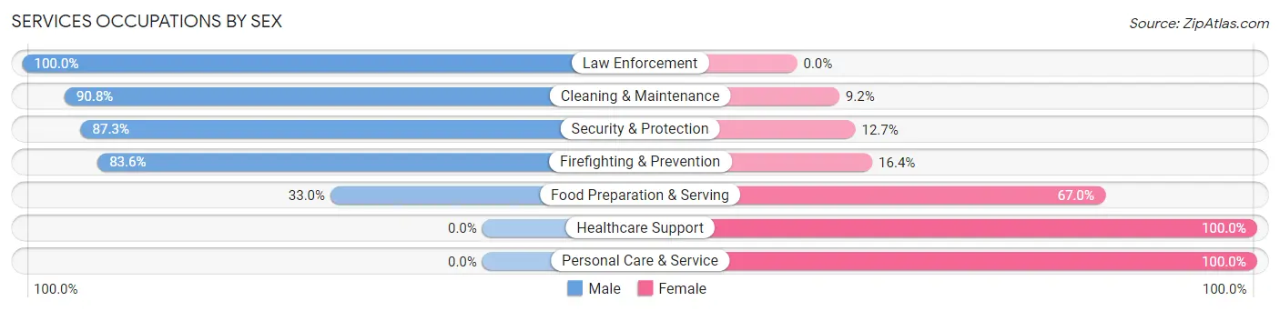 Services Occupations by Sex in Zip Code 37381