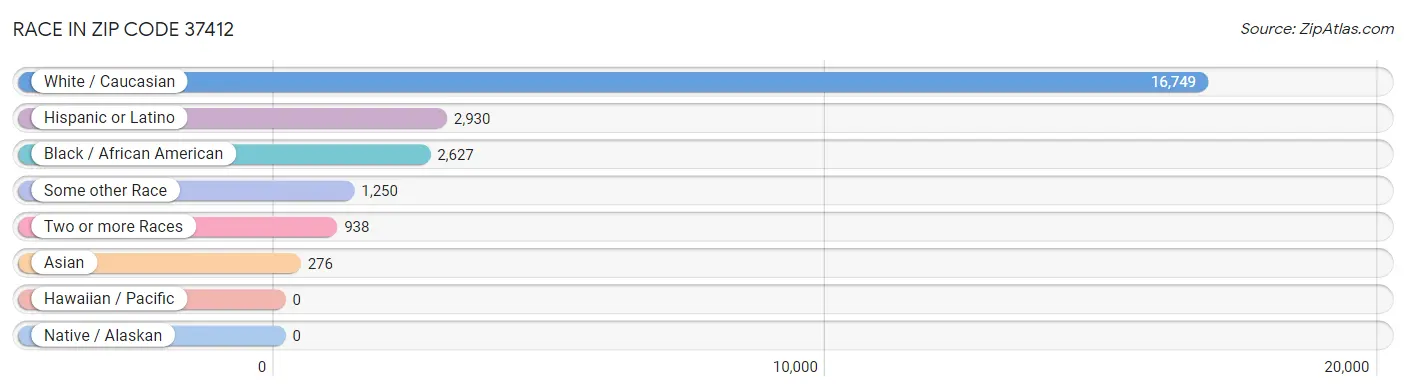 Race in Zip Code 37412
