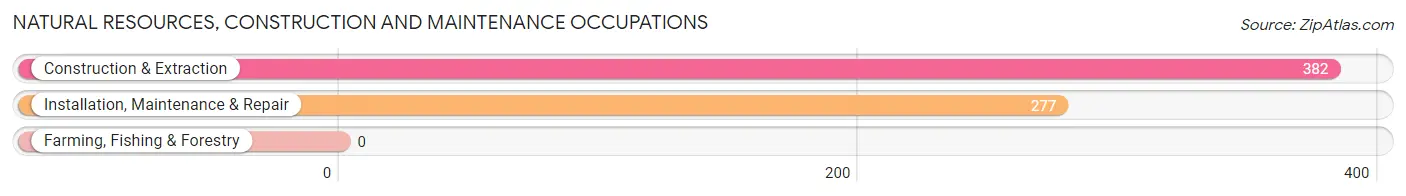 Natural Resources, Construction and Maintenance Occupations in Zip Code 37615