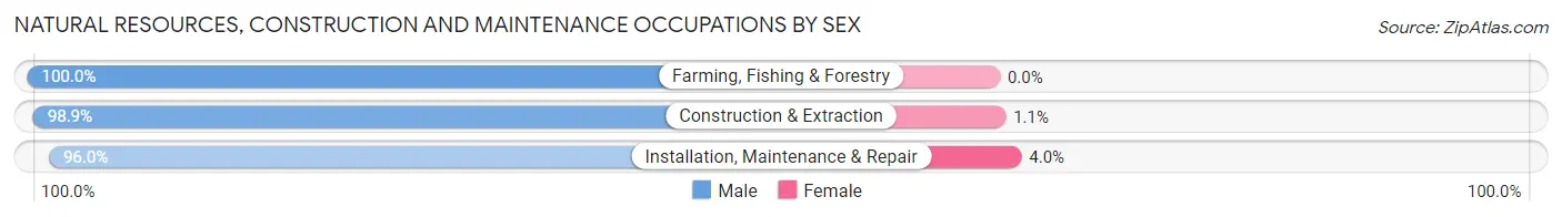 Natural Resources, Construction and Maintenance Occupations by Sex in Zip Code 37660