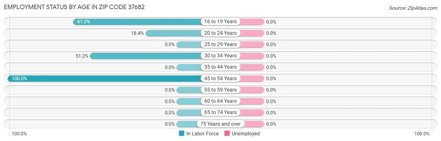 Employment Status by Age in Zip Code 37682