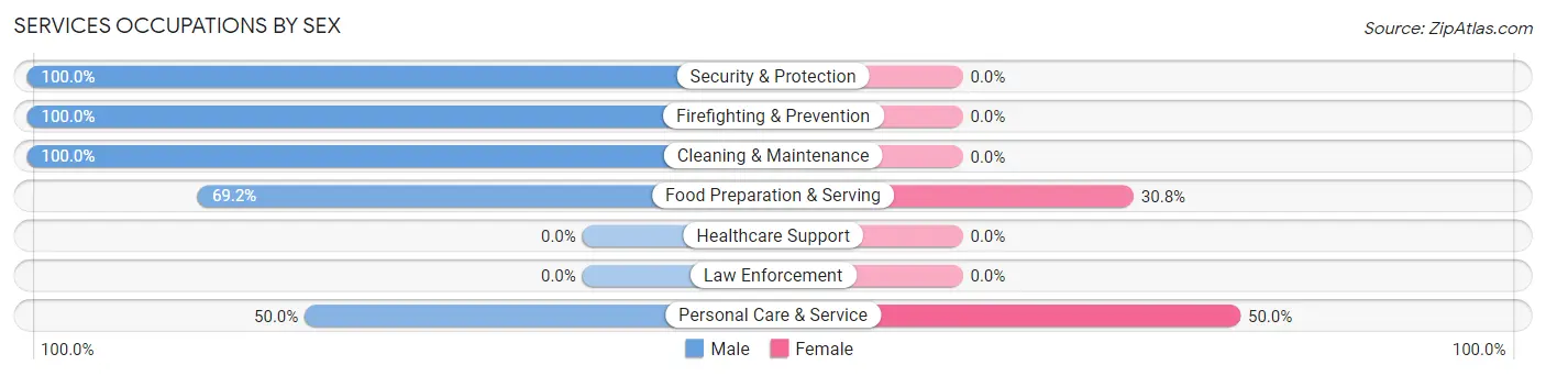 Services Occupations by Sex in Zip Code 37682