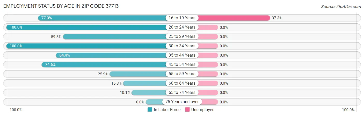 Employment Status by Age in Zip Code 37713