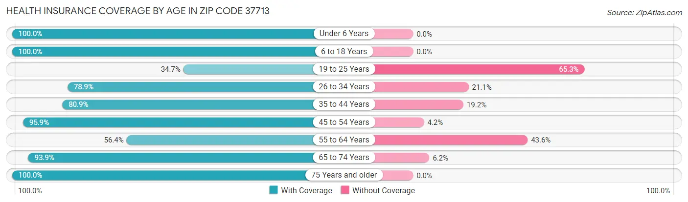 Health Insurance Coverage by Age in Zip Code 37713
