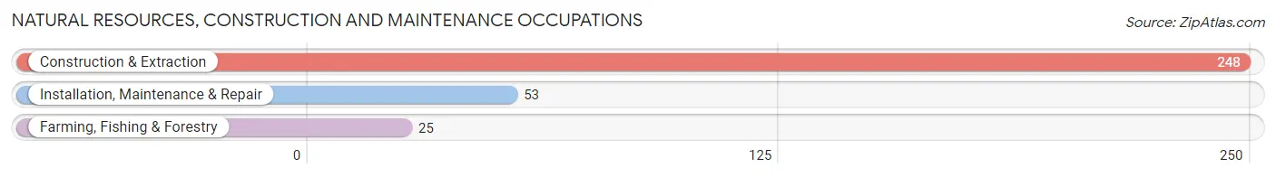 Natural Resources, Construction and Maintenance Occupations in Zip Code 37714