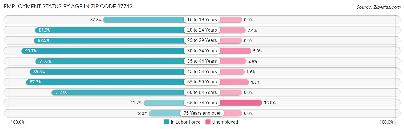 Employment Status by Age in Zip Code 37742