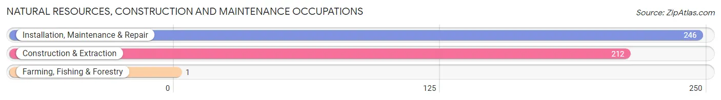 Natural Resources, Construction and Maintenance Occupations in Zip Code 37772