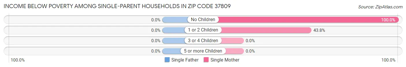 Income Below Poverty Among Single-Parent Households in Zip Code 37809