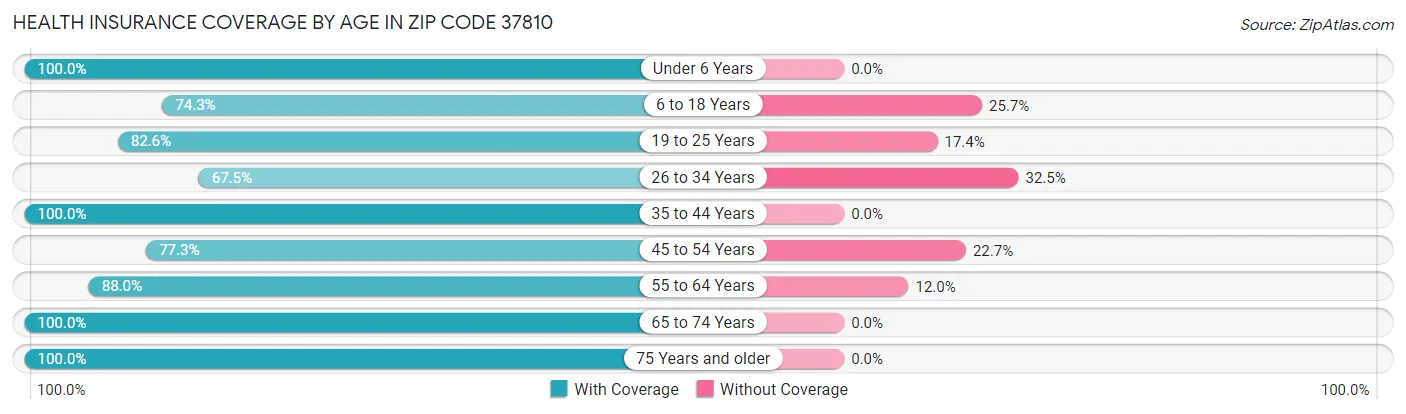 Health Insurance Coverage by Age in Zip Code 37810