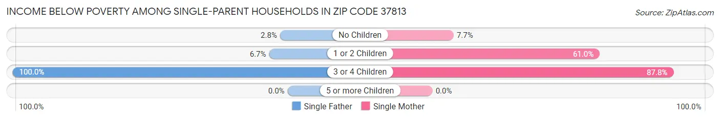 Income Below Poverty Among Single-Parent Households in Zip Code 37813