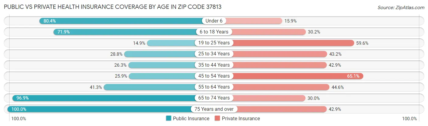Public vs Private Health Insurance Coverage by Age in Zip Code 37813
