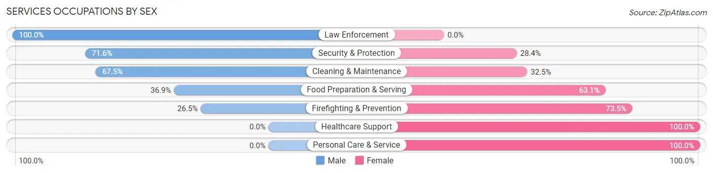 Services Occupations by Sex in Zip Code 37813