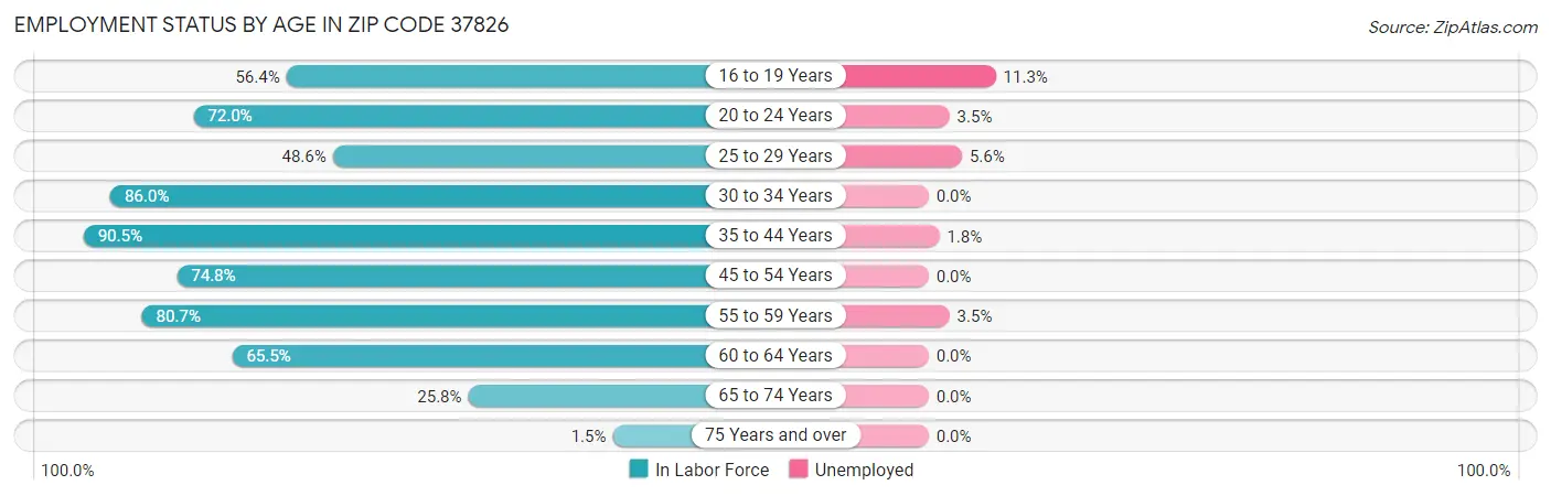 Employment Status by Age in Zip Code 37826