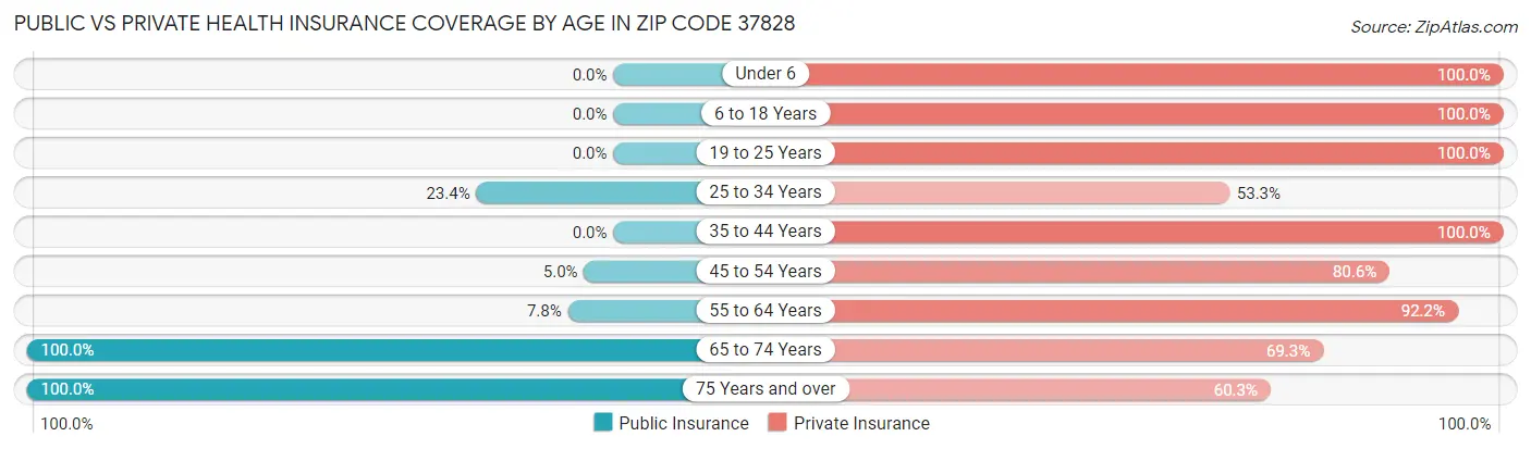 Public vs Private Health Insurance Coverage by Age in Zip Code 37828