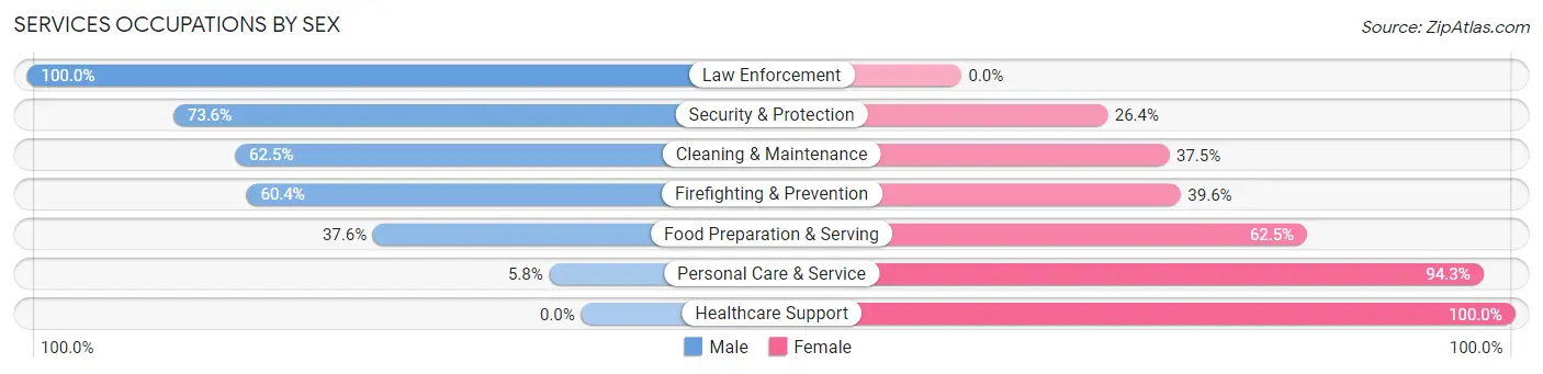 Services Occupations by Sex in Zip Code 37863