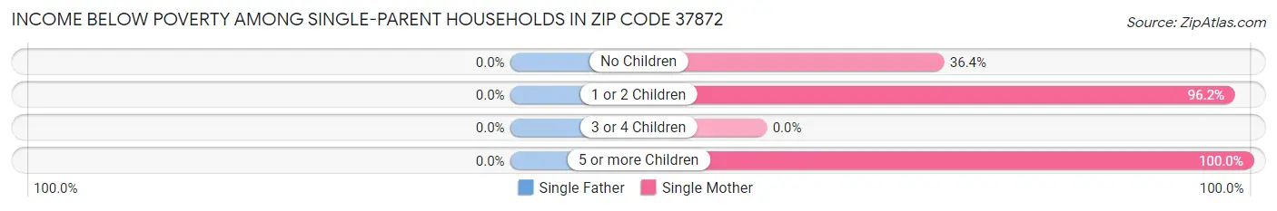Income Below Poverty Among Single-Parent Households in Zip Code 37872