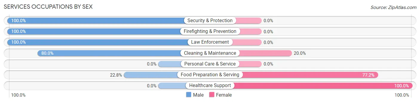 Services Occupations by Sex in Zip Code 38001