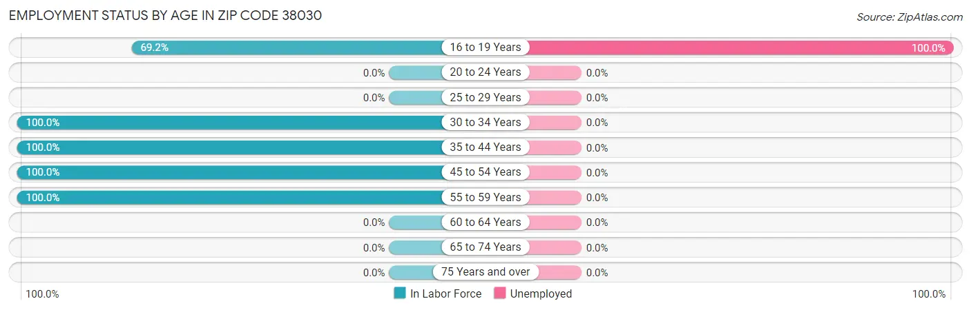 Employment Status by Age in Zip Code 38030