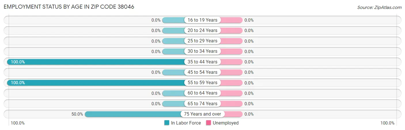 Employment Status by Age in Zip Code 38046
