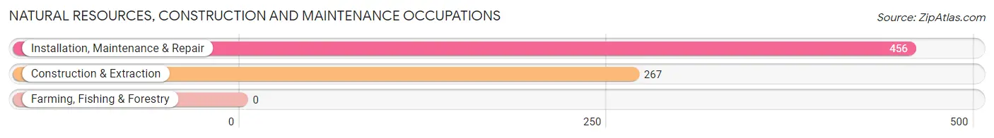 Natural Resources, Construction and Maintenance Occupations in Zip Code 38058