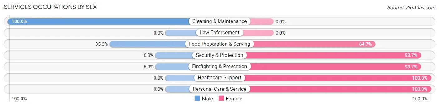 Services Occupations by Sex in Zip Code 38069