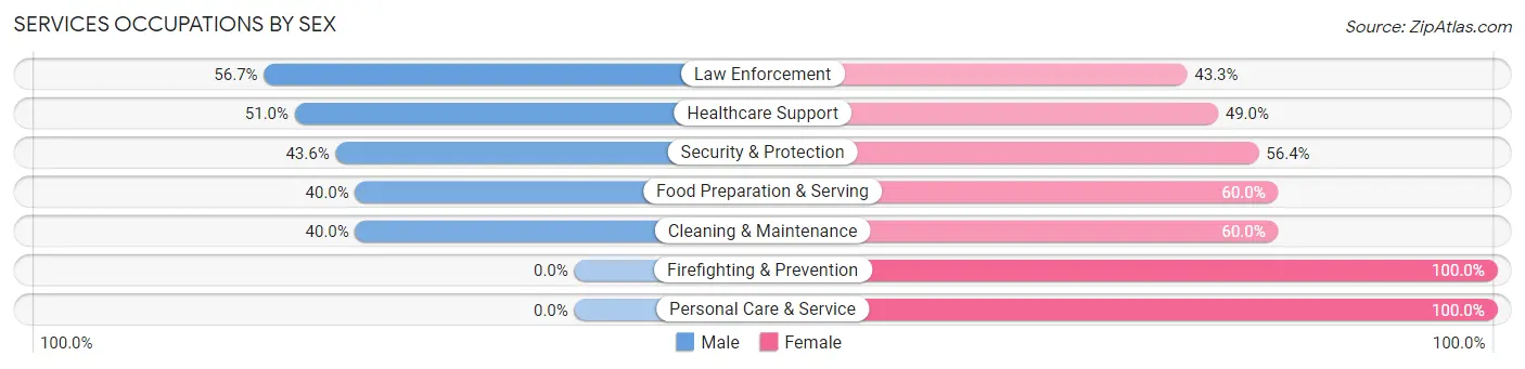 Services Occupations by Sex in Zip Code 38075