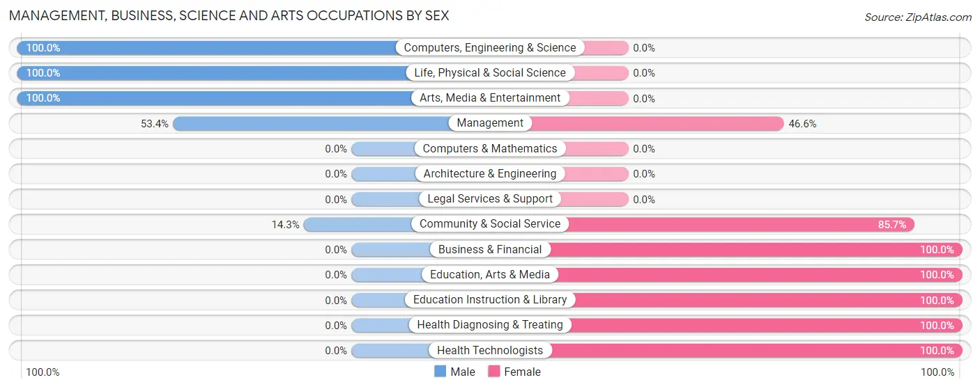 Management, Business, Science and Arts Occupations by Sex in Zip Code 38079