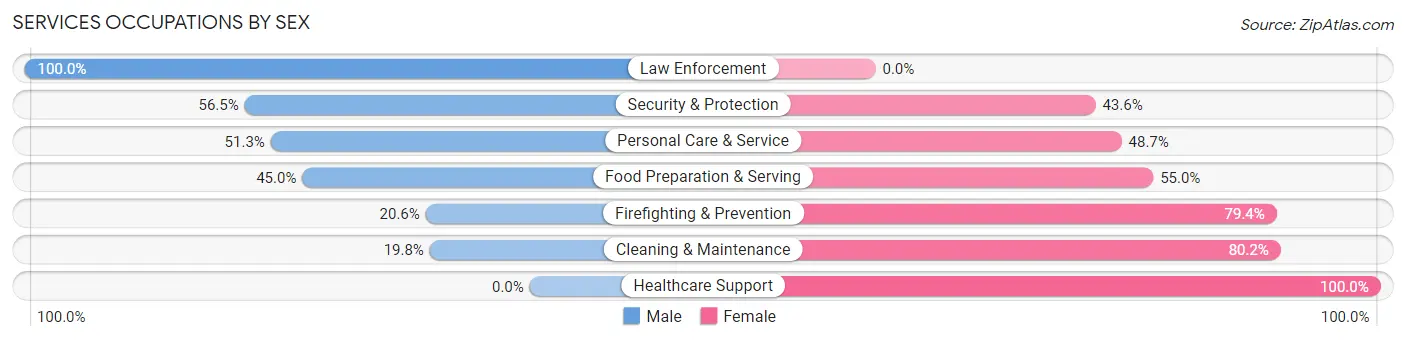 Services Occupations by Sex in Zip Code 38105