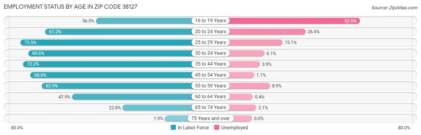 Employment Status by Age in Zip Code 38127