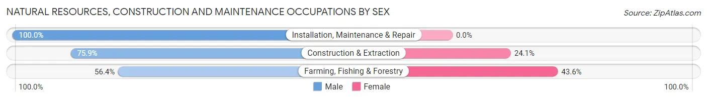 Natural Resources, Construction and Maintenance Occupations by Sex in Zip Code 38225