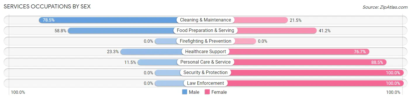 Services Occupations by Sex in Zip Code 38233