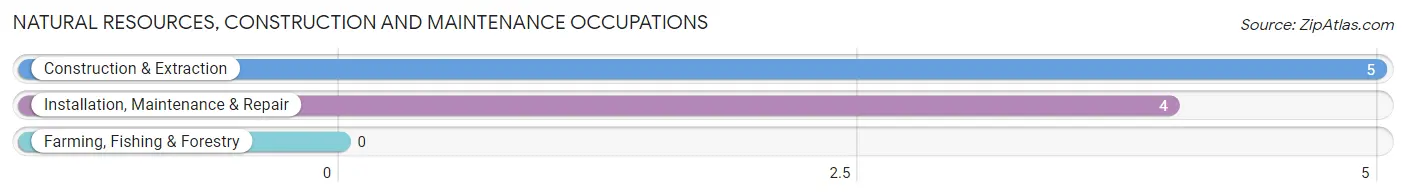 Natural Resources, Construction and Maintenance Occupations in Zip Code 38235