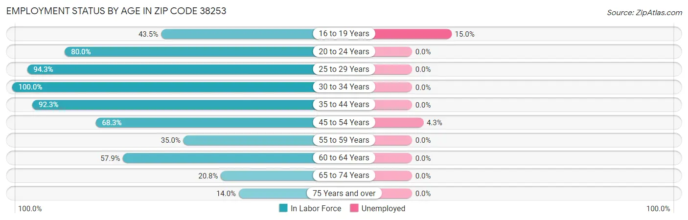 Employment Status by Age in Zip Code 38253