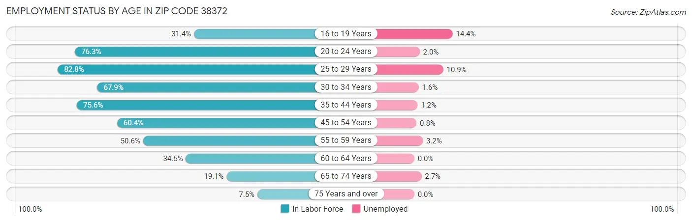 Employment Status by Age in Zip Code 38372