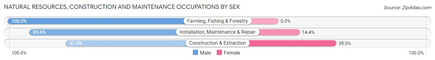 Natural Resources, Construction and Maintenance Occupations by Sex in Zip Code 38382
