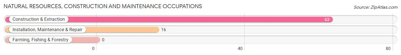 Natural Resources, Construction and Maintenance Occupations in Zip Code 38452