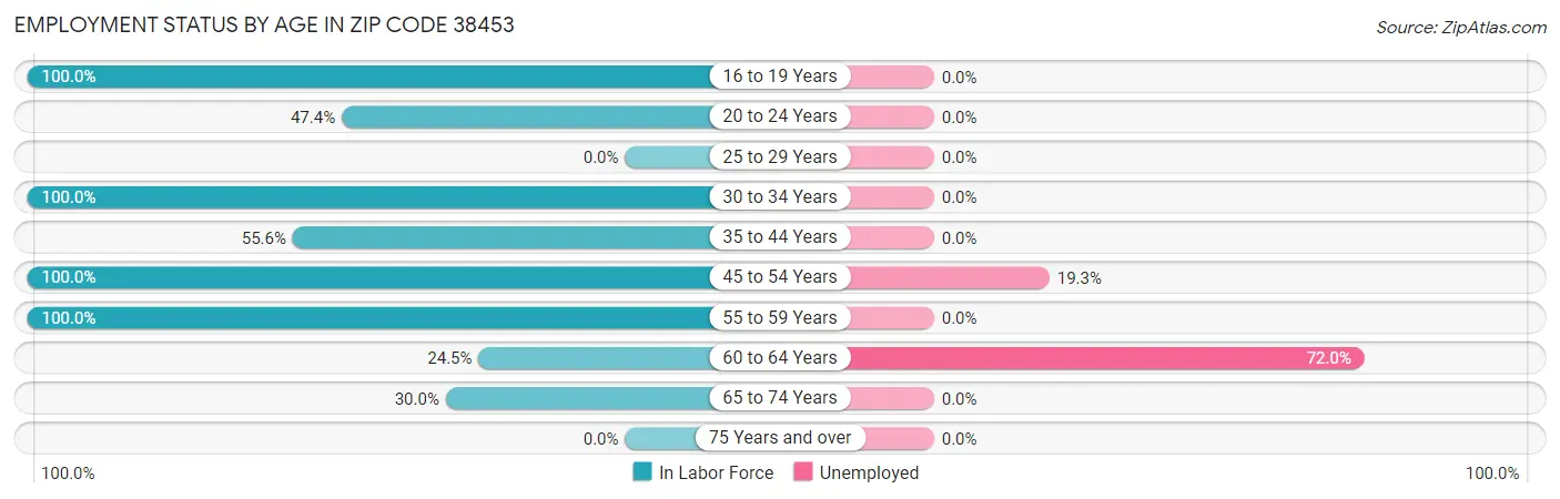 Employment Status by Age in Zip Code 38453