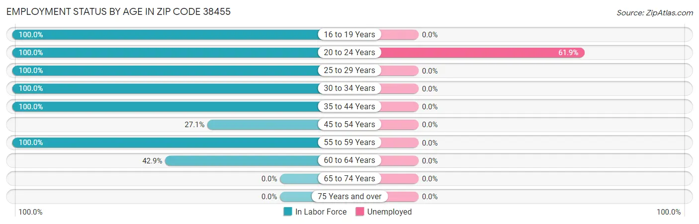 Employment Status by Age in Zip Code 38455