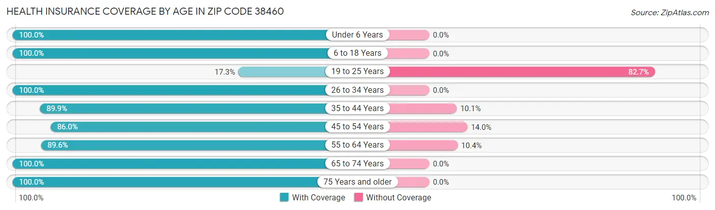 Health Insurance Coverage by Age in Zip Code 38460